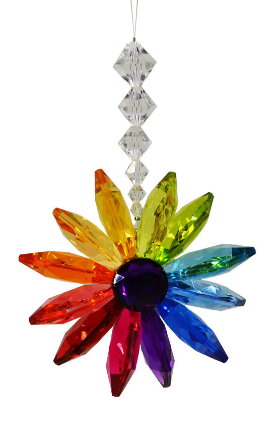 Acrylic Rainbow Floral Burst