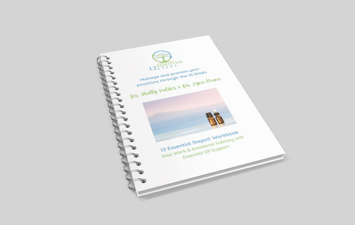 Essential 12 Steps Workbook (Version 2) at Your Oil Tools