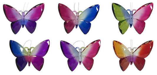 Acrylic Rainbow Butterfly