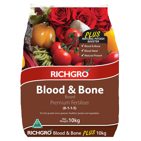 Blood And Bone Plus