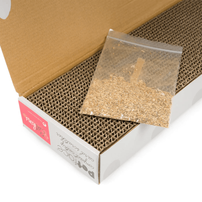 Close up of corrugated cardboard scratched inside it's outer box with the lid open with a packet of catnip on top.