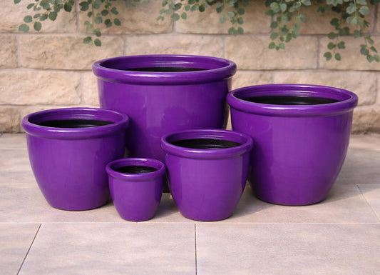 Decor 352 Pot - Gloss Purple