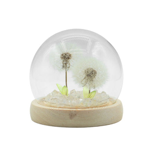 Delicate Dandelion LED USB Light Dome with Wooden Base, Soft Glow Accent for Minimalist Home and Wellbeing Spaces