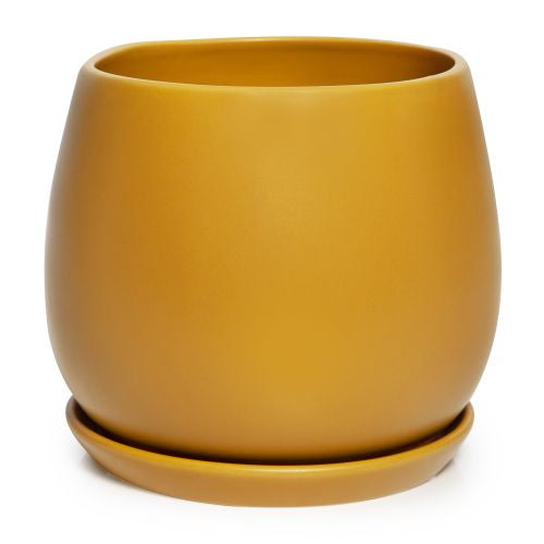 Egg Pot with Saucer - Sunset