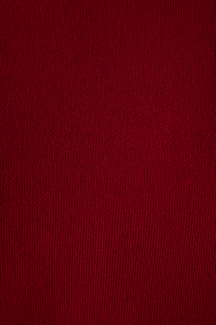 Red Encanto Smocked High Neck Sleeveless Tricot Blouse_6