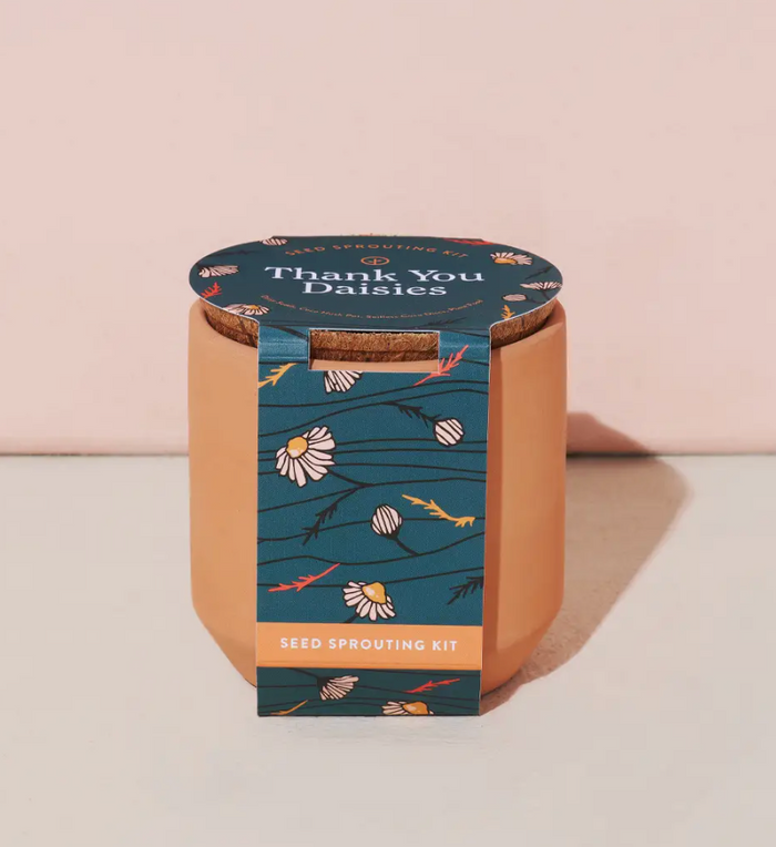 Tiny Terracotta Grow Kit